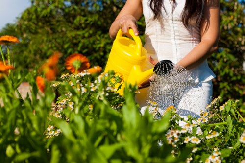 A woman in a white sleeveless top is watering a lush garden bed with a yellow plastic watering can, surrounded by vibrant orange and white flowers and green foliage. The garden features a well-maintained lawn with dense, evenly cut grass in the foreground, bordered by flowering plants and shrubs. In the background, there is a thick hedge and tall trees, creating a natural enclosure for the outdoor space. The scene is illuminated by bright sunlight, indicating clear weather, and the overall setting showcases a tidy, landscaped garden typical of outdoor residential areas in Kentish Town. This image reflects garden maintenance activities that Lawn Mowing Kentish Town might undertake, including lawn care, planting, and general outdoor upkeep.