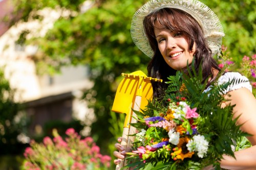 Lush garden maintained by Kentish Town lawn services