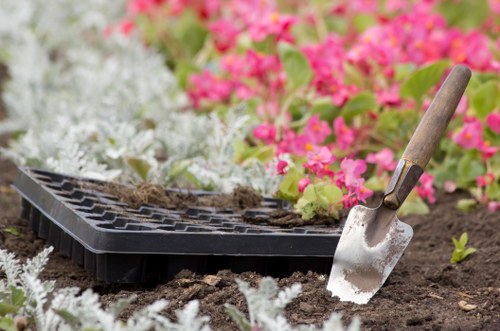 Professional lawn maintenance services